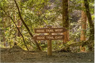 25373 Spanish Ranch Rd, Los Gatos, CA 95033 - Photo 3