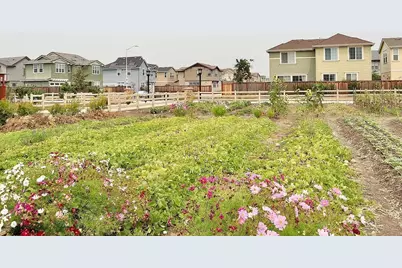 33472 Pony Loop, Fremont, CA 94555 - Photo 1