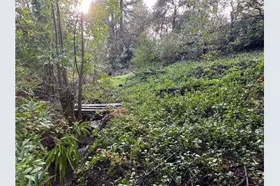 15050 Oriole Rd, Saratoga, CA 95070 - Photo 9