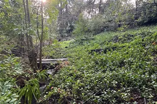 15050 Oriole Rd, Saratoga, CA 95070 - Photo 9