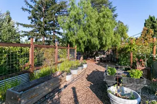 878 Hillcrest Dr, Redwood City, CA 94062 - Photo 51