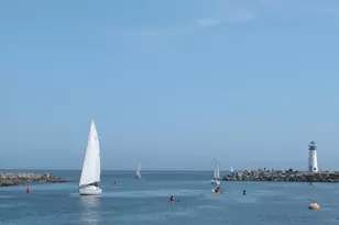 152 Frederick St, Santa Cruz, CA 95062 - Photo 63