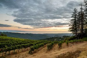 25200 Loma Prieta Ave, Los Gatos, CA 95033 - Photo 43