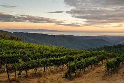 25200 Loma Prieta Ave, Los Gatos, CA 95033 - Photo 41