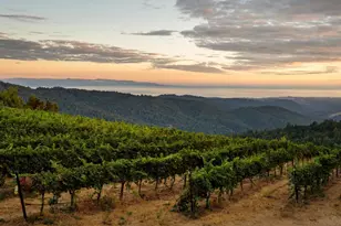 25200 Loma Prieta Ave, Los Gatos, CA 95033 - Photo 41