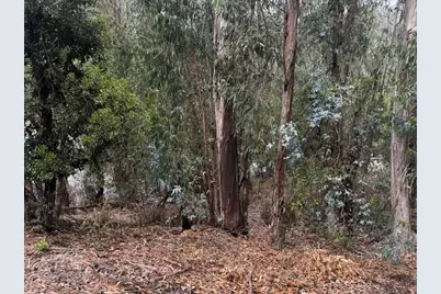 6567 Thornhill Dr, Oakland, CA 94611 - Photo 5