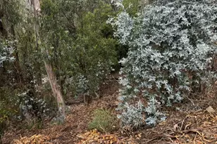 6595 Thornhill Dr, Oakland, CA 94611 - Photo 1