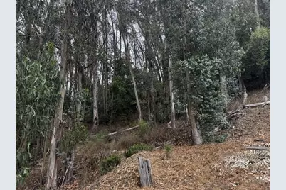 6595 Thornhill Dr, Oakland, CA 94611 - Photo 3