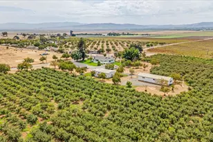 4125 Prunedale Ave, Gilroy, CA 95020 - Photo 61