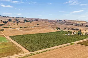 4125 Prunedale Ave, Gilroy, CA 95020 - Photo 59