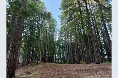 7175 Redwood Retreat Rd, Gilroy, CA 95020 - Photo 23