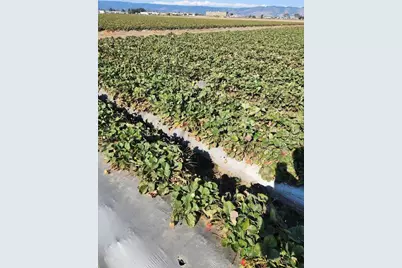 0 Clearwater Ln, Watsonville, CA 95076 - Photo 7