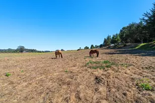 112 Holiday Dr, La Selva Beach, CA 95076 - Photo 113