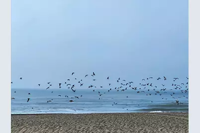 875 La Playa St 180, San Francisco, CA 94121 - Photo 1