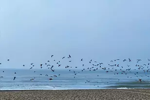 875 La Playa St 180, San Francisco, CA 94121 - Photo 1