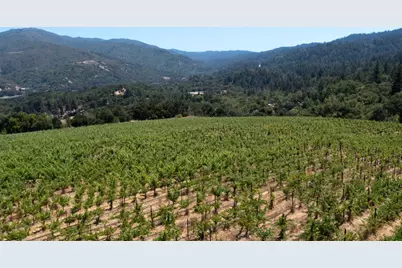 18700 Black Rd, Los Gatos, CA 95033 - Photo 19