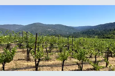 18650 Black Rd, Los Gatos, CA 95033 - Photo 17