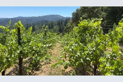 18650 Black Rd, Los Gatos, CA 95033 - Photo 13