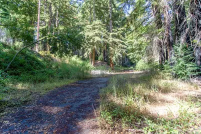 19145 Big Basin Way, Boulder Creek, CA 95006 - Photo 9