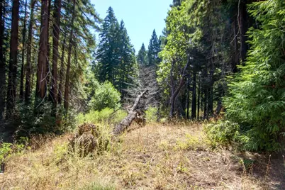 19145 Big Basin Way, Boulder Creek, CA 95006 - Photo 15