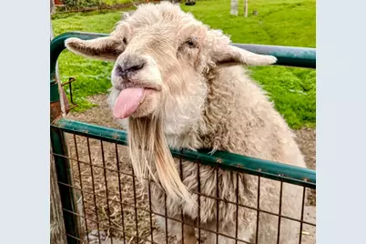 000 San Lucas, Moss Beach, CA 94038 - Photo 1