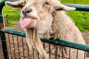 000 San Lucas, Moss Beach, CA 94038 - Photo 1