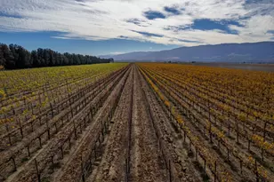 31102 Camphora Gloria Rd, Soledad, CA 93960 - Photo 5