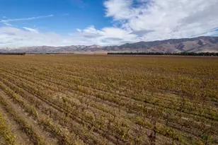 31102 Camphora Gloria Rd, Soledad, CA 93960 - Photo 3