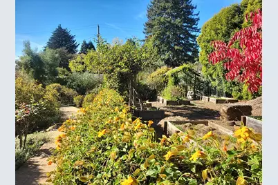 3360 Merrill Rd, Aptos, CA 95003 - Photo 39