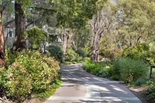 5202 Shelter Creek Ln, San Bruno, CA 94066 - Photo 23