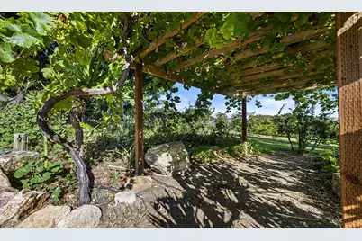 547 Mission Vineyard Rd, San Juan Bautista, CA 95045 - Photo 15