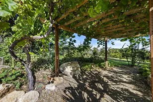 547 Mission Vineyard Rd, San Juan Bautista, CA 95045 - Photo 15