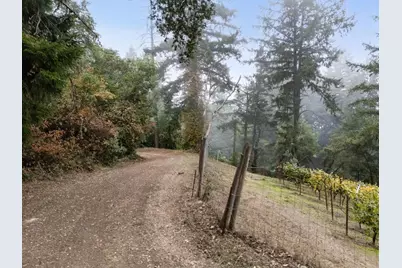 19089 Skyline Blvd, Los Gatos, CA 95033 - Photo 11