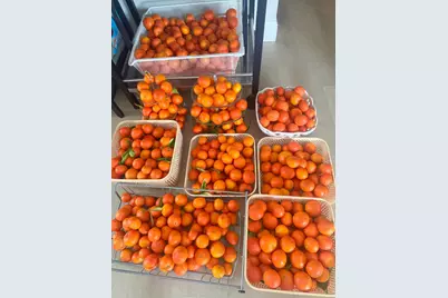 1225 Vienna Dr 604, Sunnyvale, CA 94089 - Photo 19