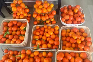 1225 Vienna Dr 604, Sunnyvale, CA 94089 - Photo 19