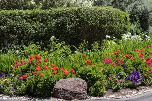 23 Bay Tree Ln, Los Altos, CA 94022 - Photo 31