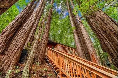 1741 Gold Gulch Rd, Felton, CA 95018 - Photo 1