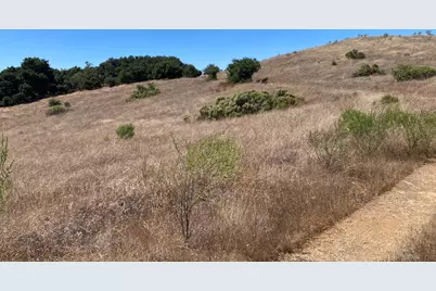 Adamo Ranch, Carmel Valley Rd, Carmel, CA 93923 - Photo 77