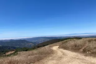 Adamo Ranch Carmel Valley Rd, Carmel, CA 93923 - Photo 79