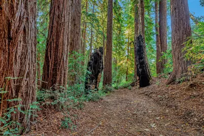 Adamo Ranch, Carmel Valley Rd, Carmel, CA 93923 - Photo 15