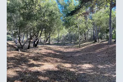 Adamo Ranch, Carmel Valley Rd, Carmel, CA 93923 - Photo 91