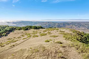 Adamo Ranch Carmel Valley Rd, Carmel, CA 93923 - Photo 63