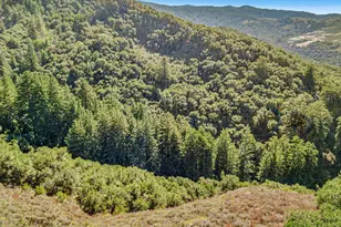 Adamo Ranch Carmel Valley Rd, Carmel, CA 93923 - Photo 47