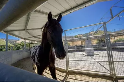 350 San Benancio Rd, Salinas, CA 93908 - Photo 5