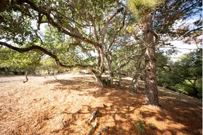 18221 Berta Canyon Rd, Salinas, CA 93907 - Photo 11