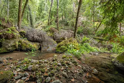 02 Bear Creek, Boulder Creek, CA 95006 - Photo 23