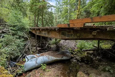 02 Bear Creek, Boulder Creek, CA 95006 - Photo 17