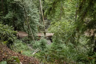 02 Bear Creek, Boulder Creek, CA 95006 - Photo 13