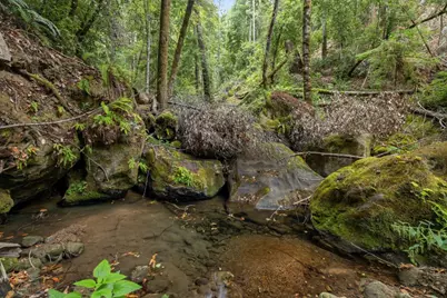 02 Bear Creek, Boulder Creek, CA 95006 - Photo 21