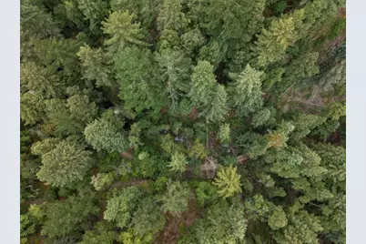 02 Bear Creek, Boulder Creek, CA 95006 - Photo 35